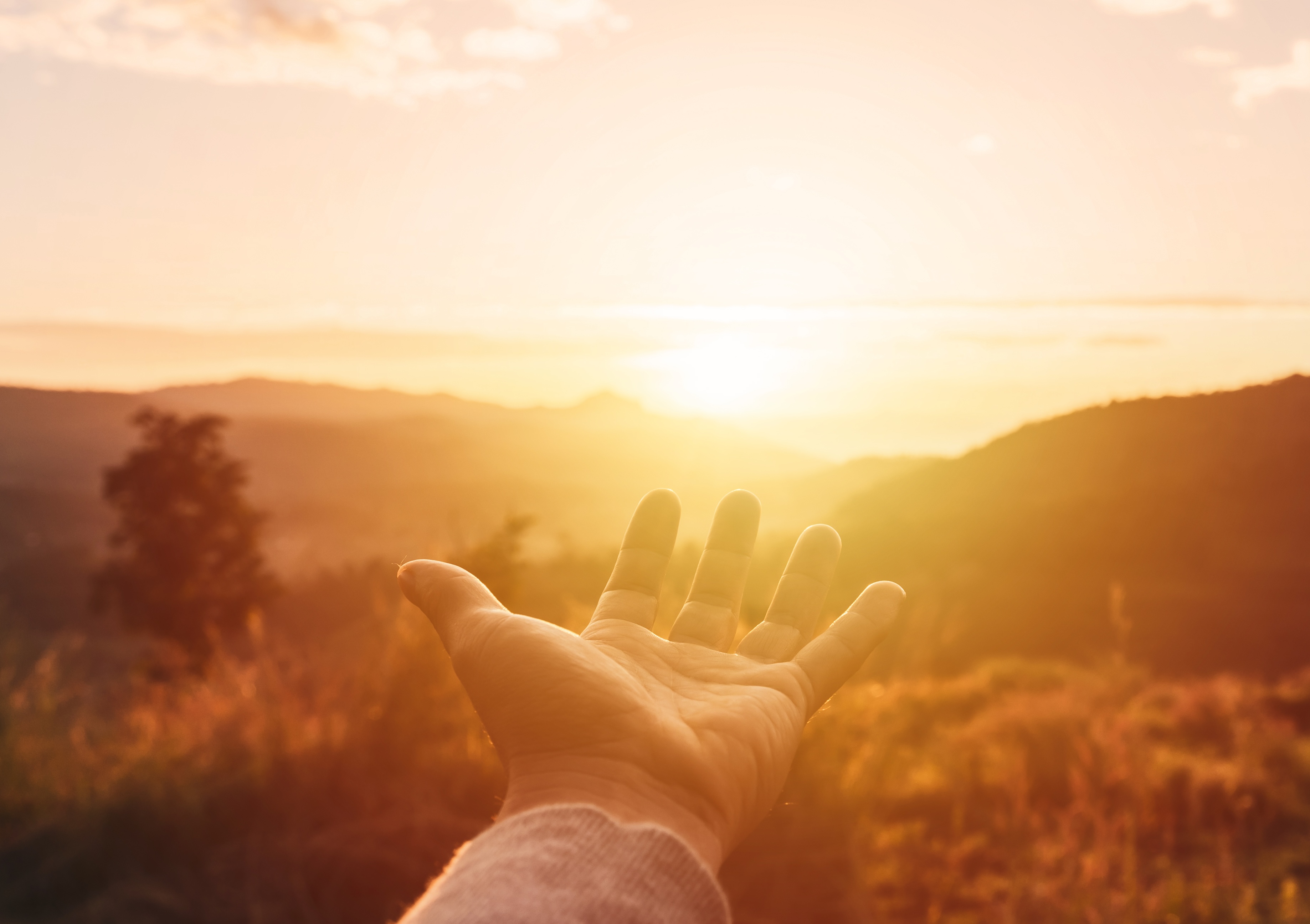 Reach for your dreams